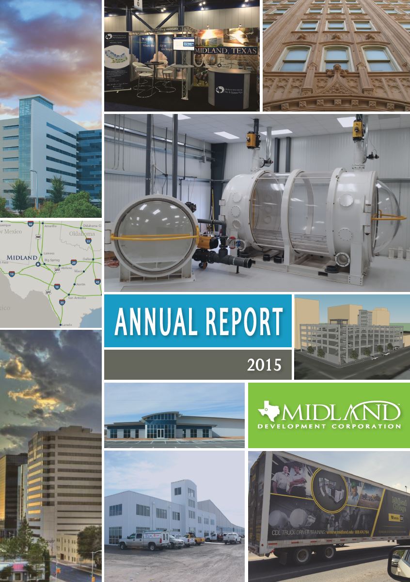 Thumbnail Image For 2015 Annual Report