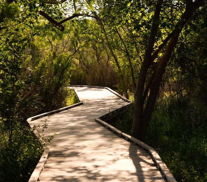 Midland park
